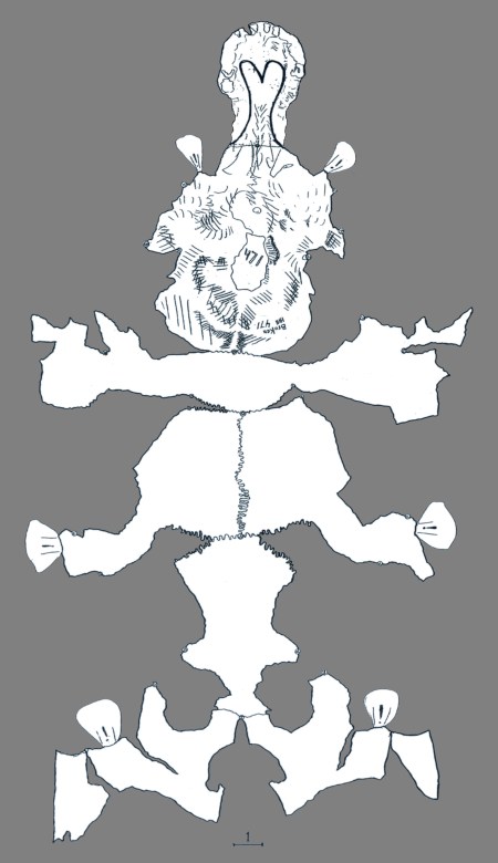 Constant-Scale Natural Boundary Map of Neanderthal Broken Hill #471